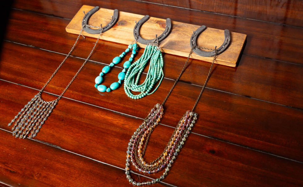 Horseshoe Jewelry Holder - Image 2